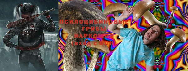 ешки Богданович